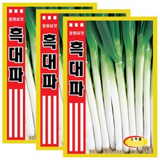 세인화분 흑대파 6000립