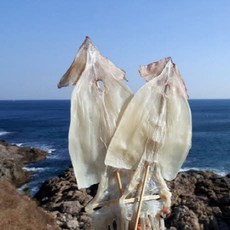 [가을바다] 부드러운 마른오징어 10마리 500g 내외, 1개, 마른오징어 10마리 (400g 내외)