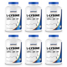 뉴트리코스트 L-라이신 1000mg, 250정, 6개
