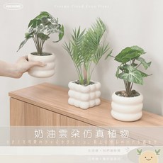 ABCHOME 奶油雲朵仿真植物, 1個, 散尾葵四方瓶,療癒系小盆栽如遇缺貨顏色隨機出貨