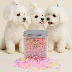 이플새라 댕댕밴드 반려동물 대용량 머리끈, 1개, B달콩밴드