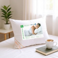 포그니 국내생산 굿나잇 항균 지퍼형 기능성 베개솜 40x60, 화이트, 1개