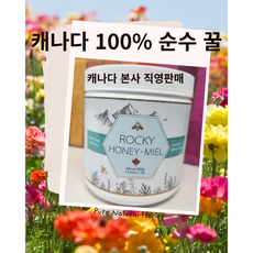 캐나다 로키 허니 밀, 1개, 500g