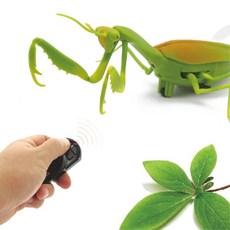 키덜트 움직이는 곤충RC 리모컨 사마귀 남아 무선조정rc 남아선물 입문용rc