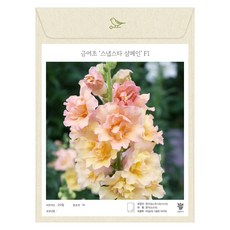 금어초 겹꽃 스냅스타 샴페인 씨앗 20립 (유아그린/A0308)