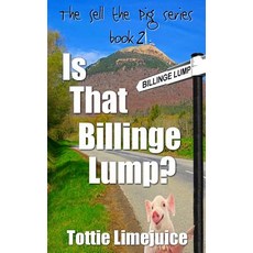 (영문도서) Is that Billinge Lump? Paperback, Lesley M K Tither, English, 9782901773139