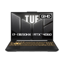 에이수스 2024 TUF 게이밍 F16 코어i7 인텔 13세대 지포스 RTX 4060, Mecha Gray, 512GB, 16GB, Free DOS, FX607JV-QT213