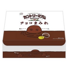 후지가 컨트리마 암초코 투성이 대용량 BOX500g 초콜릿 쿠키, 1개, 1g