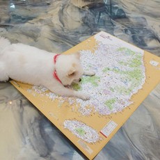 우리나라지도 댕댕이 여행지도+멍발자국 스티커 - 우리나라 지도