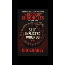 (英文圖書)The Recovery Chronicles: Self-Inflicted Wounds 平裝版, Independently Published, 英文