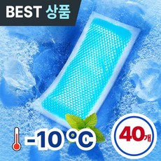 로블린 아이스 순간 냉각 쿨링패치, 40개