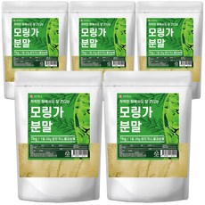 건강중심 모링가 잎 분말 가루, 1kg, 5개