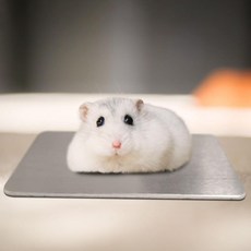 애완동물 알루미늄 패드 S, 1개, 1ml