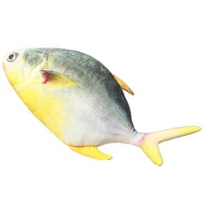 사실적인 해양 물고기 플리스 장난감 다용도 베개 베이핑 장치 와 성인용, 05 60cm, 폼베