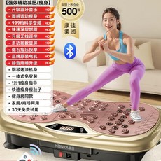 전신 진동 운동기구 기계 덜덜이 바디슬리머 가정용 체형관리 뱃살빼는 다이어트