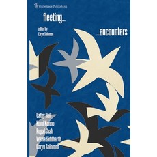 (英文圖書)Fleeting Encounters 平裝版, Writespace Publishing, 英文