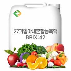 27종 과일야채혼합농축액 42Brix 200g 샘플, 1개