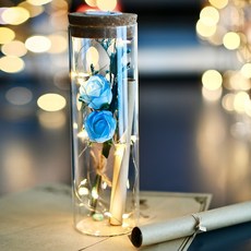 아르띠콜로 행복 LED 유리병 꽃다발 편지지 세트, 블루