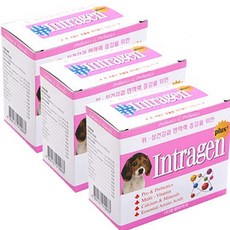 인트라젠 플러스 반려동물 영양제, 60g, 장건강/유산균, 3개