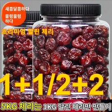 1+1 말린체리 건체리 말린체리칠레산 무설탕 건체리100% 체리, (1+1)캔/총0.5kg, (2+2)캔/총1kg × 1kg × 2개, 1kg