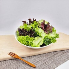 [무농약 인증] 친환경 충남 부여 신선한 유러피안 샐러드 모듬채소, 1박스, 1kg / 4종 랜덤