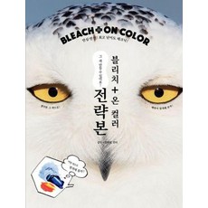 블리치 온 컬러 Bleach On Cclor 전략본:그 색 만들 수 있어요!, 드림북매니아, 사이토 츠요시 외