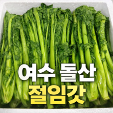 [신진농산] 여수 해풍 돌산갓 당일제조 절임갓 진공포장, 1개, 2kg