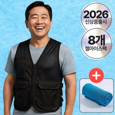 [얼음조끼] 드비안 쿨핏 아이스 조끼 매쉬 포켓 냉조끼 젤아이스팩 8개
