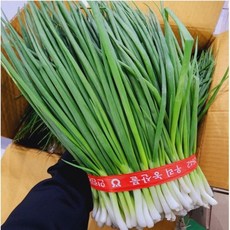 국내산 흙쪽파 1kg 내외 1단, 1세트