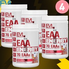EVL EAA 아미노산 과일펀치 357g 4개