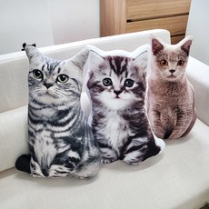 냥이필로우 고양이 쿠션 애착인형 수면 베개 바디필로우 집들이 친구 생일 선물, 01.브리티시숏헤어, 01.브리티시숏헤어