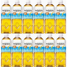 웅진 하늘보리 1.35L 11개