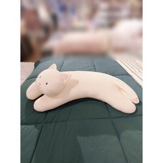 모던하우스 소프트터치 고양이 캣토리 애착베개 20X61, 사진참조