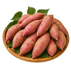 [재구매율1위] 해남 호박 고구마 초고당도 호풍미 황토밭 꿀고구마 산지직송 디아머스, 1개, 10kg (중상)