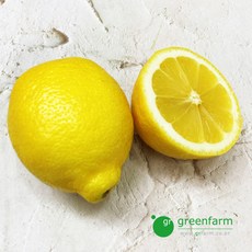레몬, 1개, 90~100g