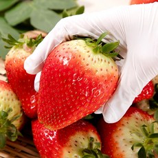 논산 스마트팜 딸기 킹스베리, 1개, 킹스베리 400g 특(10-13과)