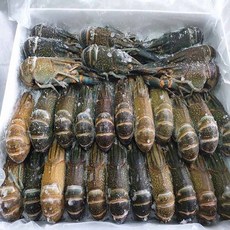 동아씨푸드 크레이피쉬 민물가재 마라롱샤 800g +소스포함, 1개, 20-26미 800g + 소스