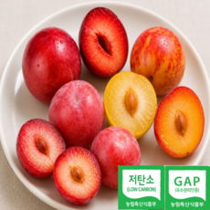 [백화점납품] 저탄소 GAP 햇 대석자두 후무사 도담 추희, 2개, 특(60g이상) 1kg
