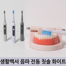 생활백서 음파 전동 칫솔 양치 구강 위생 충치 화이트 [AUH8136], 1개