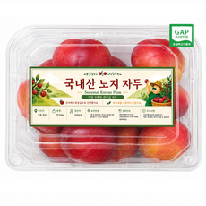 [당일 수확 발송] 친환경 자두 당도선별 GAP인증, 1개, 500g(5~8입)