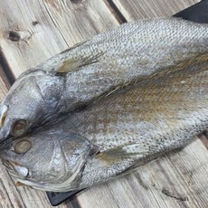 국내산 반건조 민어 특대 1미 ggu+150pG