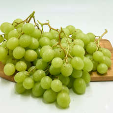 [초고당도] 프리미엄 애플청포도 씨없는 청포도, 1박스, 500g