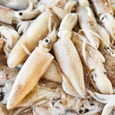 [특신선]당일조업 자연산 생물 호래기 횟감 호래기회 꼴뚜기회, 1개, [당일조업] 생물호래기500g(100미내외)