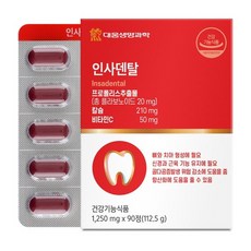 대웅생명과학 인사덴탈 1 250mg 치아 뼈 건강 골다공증 위험감소 항산화, 90정, 1박스