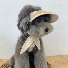 강아지 썬캡 모자 여름 햇빛차단 산책 외출 애견 모자, 1개, 베이지