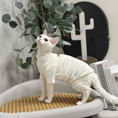 고양이 환묘복 수술복 방지 보호복 보호 실내복 중성화 긁기 핥기 수술 올인원, 1개