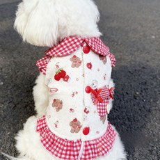 寵物衣服 狗狗兩腳衣 格子草莓泰迪熊圖案加絨背心, 紅色, 1個
