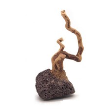 세틀 미니 볼캐닉 화산석 유목 (레드), 1개