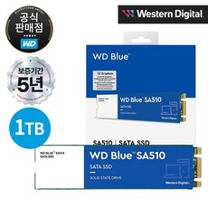 [공식판매점] WD BLUE SA510 M.2 SATA SSD, WDS100T3B0B, 1TB
