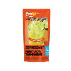 유어스 제추청귤과즙에이드 340ml x 10개